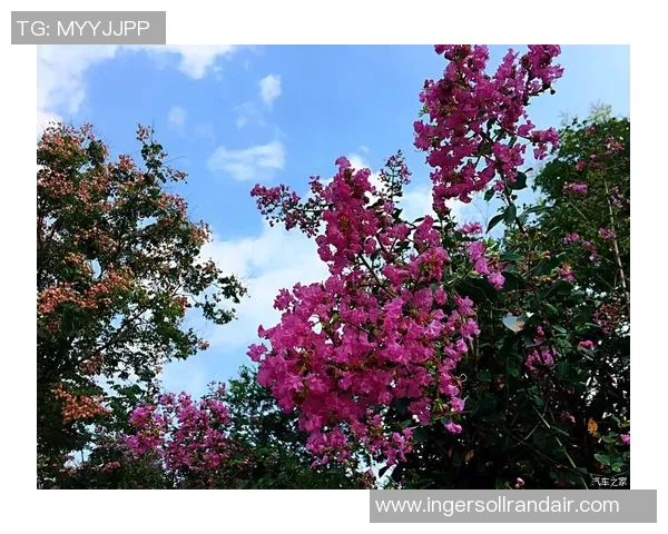 南京攀岩队技术对比深度剖析与发展潜力探讨