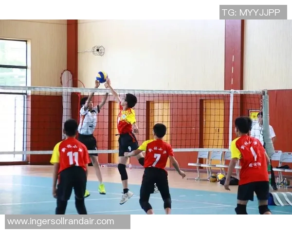 重庆排球队实力崛起荣登全国排球实力排行榜第十名