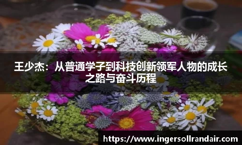 乐天堂官网